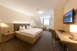 Hotel Strasshof Standard Double Room